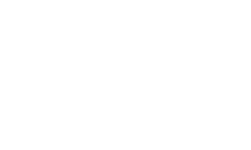 Dbt