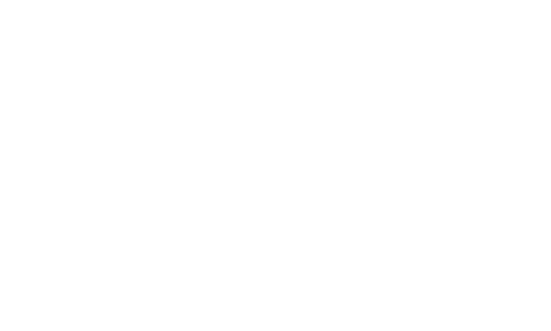DeepSeek